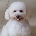 khánh quỳnh khánh quỳnh