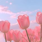 Le Thi My Quyen 11A5 Le Thi My Quyen 11A5