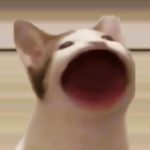 Tran Tue Lam Tran Tue Lam